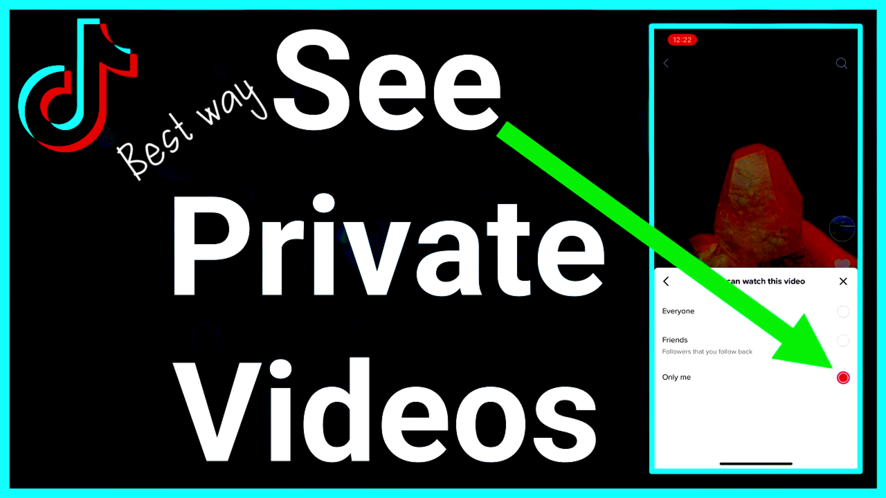 The Best Way to See Private TikTok Accounts or Videos?